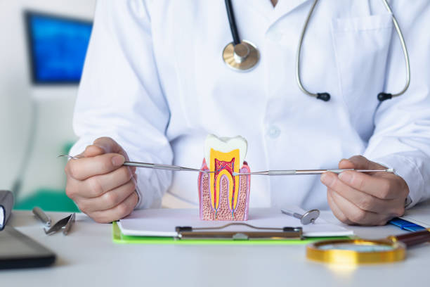 Best Emergency Dental Care for Broken or Chipped Teeth in Hudson, CO